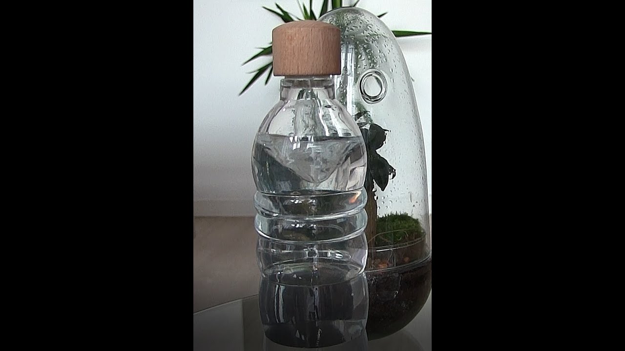 Comment faire de l’eau structurée ?