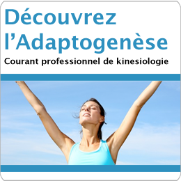 Adaptogénèse et Réduction du Stress : Comment les Adaptogènes Soutiennent votre Bien-être